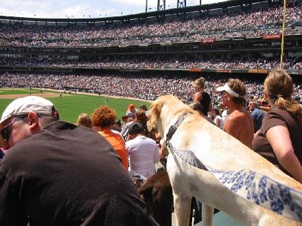 watching the game2.jpg